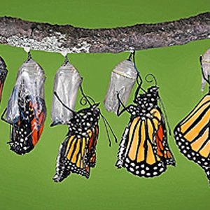 Cuando haces marketing, a