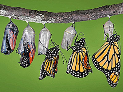 Cuando haces marketing, a