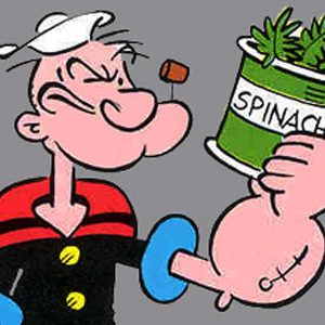 la tarjeta de crédito es como las espinacas de popeye